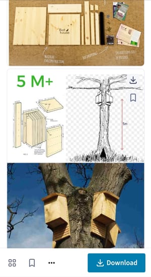 🦇🏚 DIY Bat Houses via Mali Missions Project 🦟