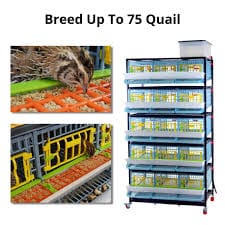 🐣 Why Choose Hatching Time's Poultry Cages? Breed up to 75 Quail!